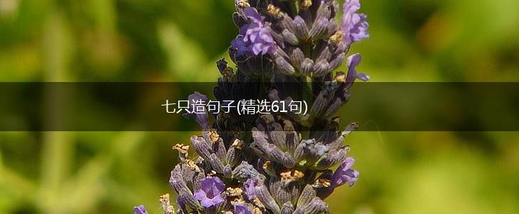 七只造句子(精选61句),第1张