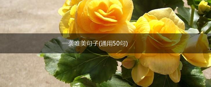 一袭唯美句子(通用50句),第1张