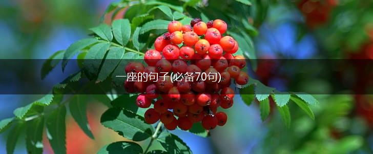 一座的句子(必备70句),第1张
