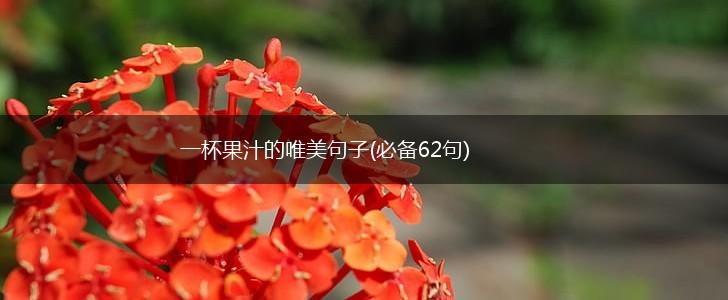 一杯果汁的唯美句子(必备62句),第1张