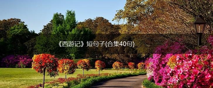 《西游记》短句子(合集40句),第1张