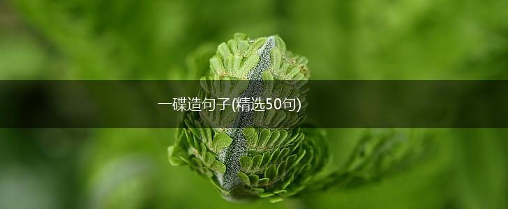 一碟造句子(精选50句),第1张