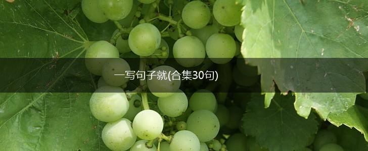 一写句子就(合集30句),第1张