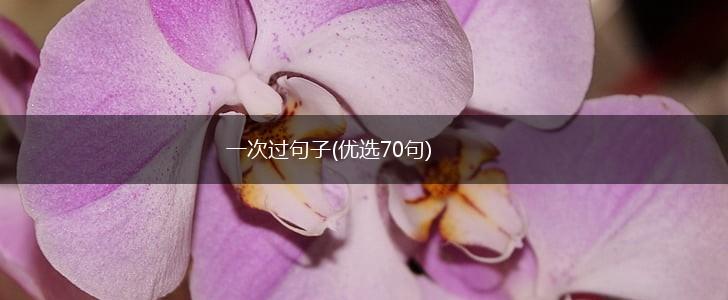 一次过句子(优选70句),第1张