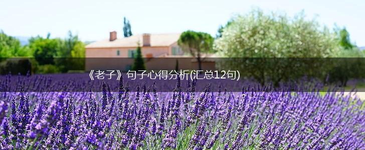 《老子》句子心得分析(汇总12句),第1张