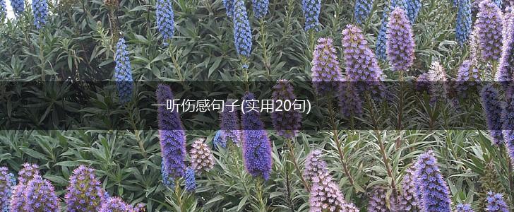一听伤感句子(实用20句),第1张