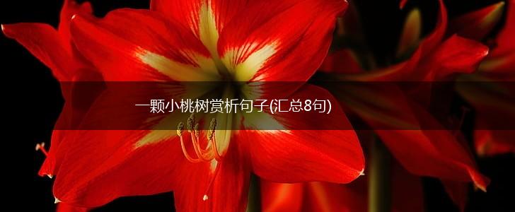 一颗小桃树赏析句子(汇总8句),第1张