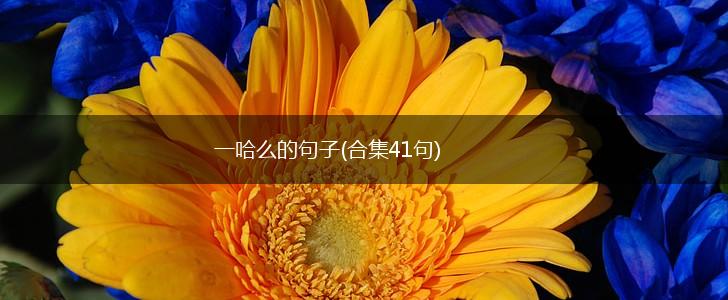 一哈么的句子(合集41句),第1张