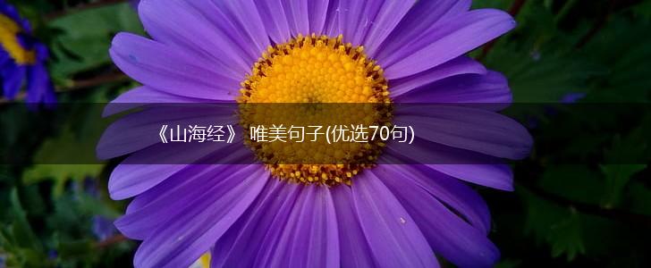 《山海经》 唯美句子(优选70句),第1张
