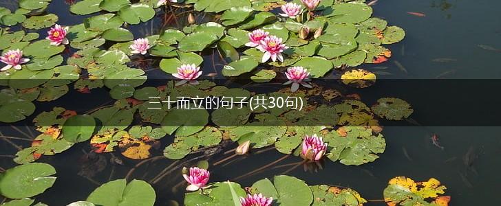 三十而立的句子(共30句),第1张