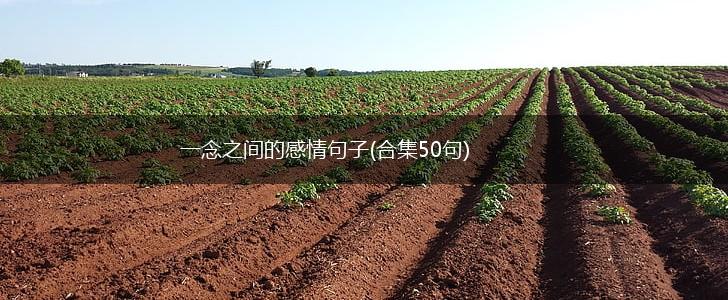 一念之间的感情句子(合集50句),第1张