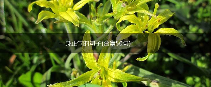 一身正气的句子(合集50句),第1张