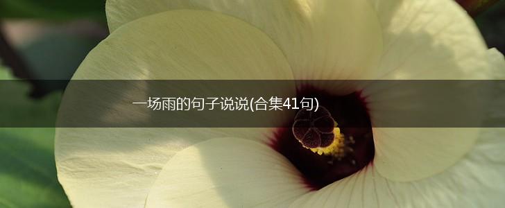 一场雨的句子说说(合集41句),第1张