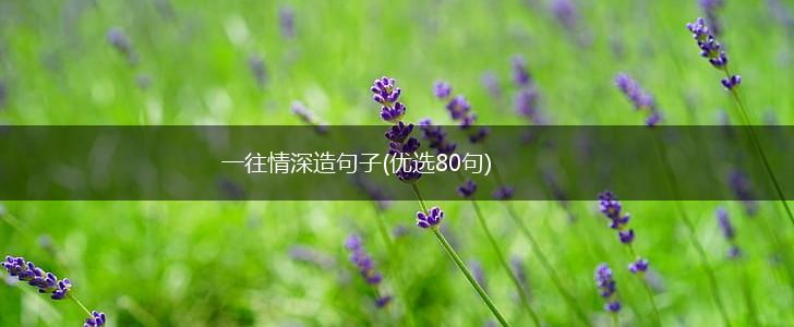一往情深造句子(优选80句),第1张