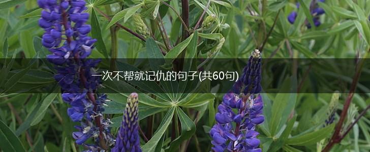 一次不帮就记仇的句子(共60句),第1张