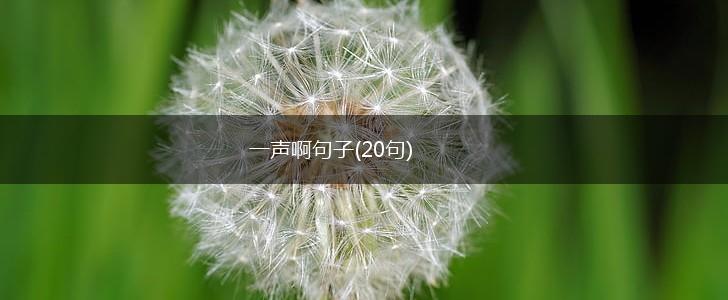 一声啊句子(20句),第1张