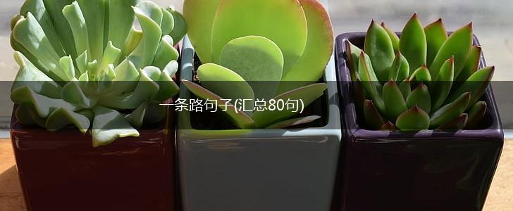 一条路句子(汇总80句),第1张