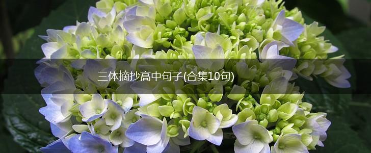 三体摘抄高中句子(合集10句),第1张