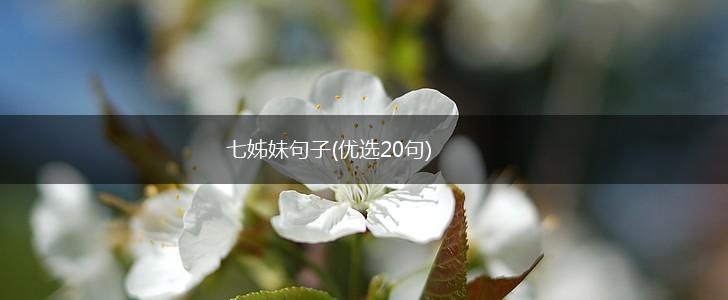 七姊妹句子(优选20句),第1张