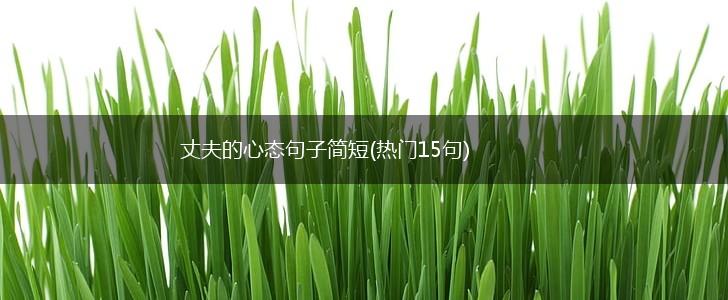 丈夫的心态句子简短(热门15句),第1张
