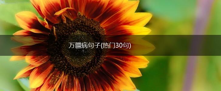 万疆病句子(热门30句),第1张
