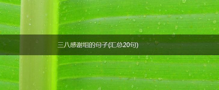 三八感谢组的句子(汇总20句),第1张