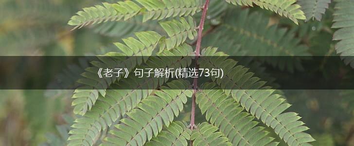 《老子》句子解析(精选73句),第1张