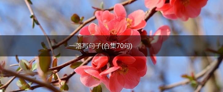 一落写句子(合集70句),第1张