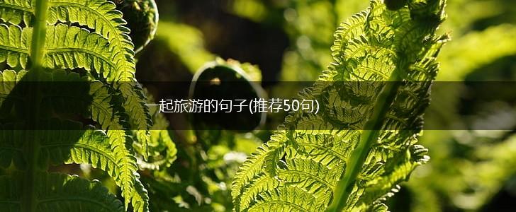 一起旅游的句子(推荐50句),第1张