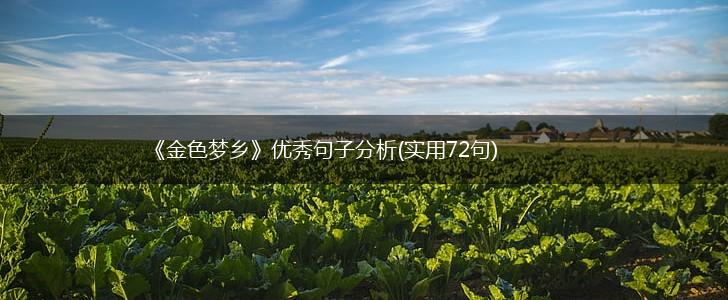 《金色梦乡》优秀句子分析(实用72句),第1张