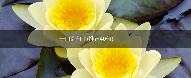 一曰造句子(推荐40句),第1张