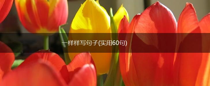 一样样写句子(实用60句),第1张