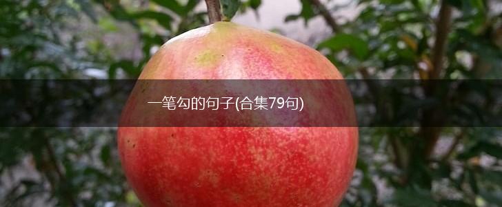 一笔勾的句子(合集79句),第1张