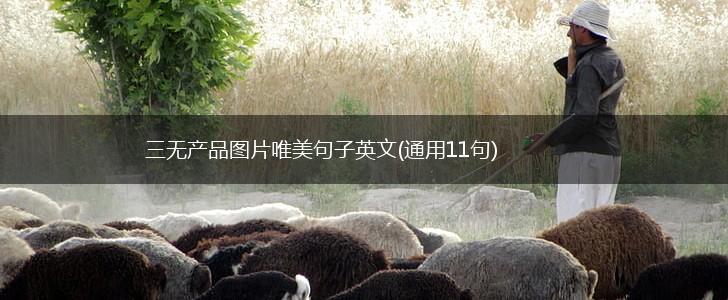 三无产品图片唯美句子英文(通用11句),第1张