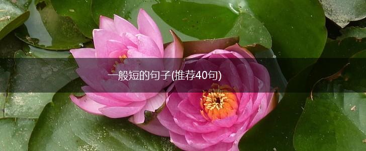 一般短的句子(推荐40句),第1张