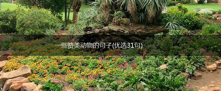 一些赞美动物的句子(优选31句),第1张