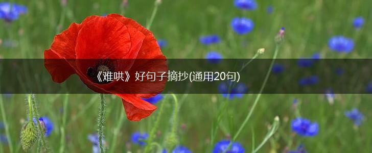 《难哄》好句子摘抄(通用20句),第1张