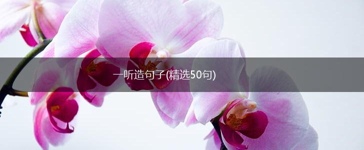 一听造句子(精选50句),第1张