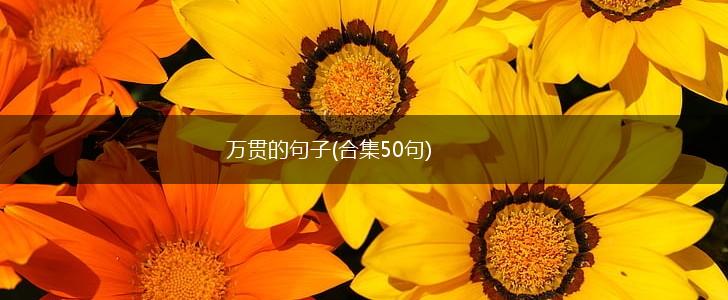 万贯的句子(合集50句),第1张