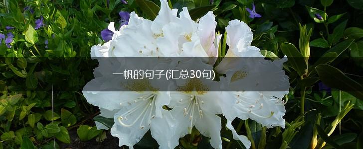 一帆的句子(汇总30句),第1张