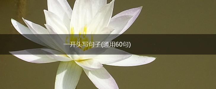 一开头写句子(通用60句),第1张