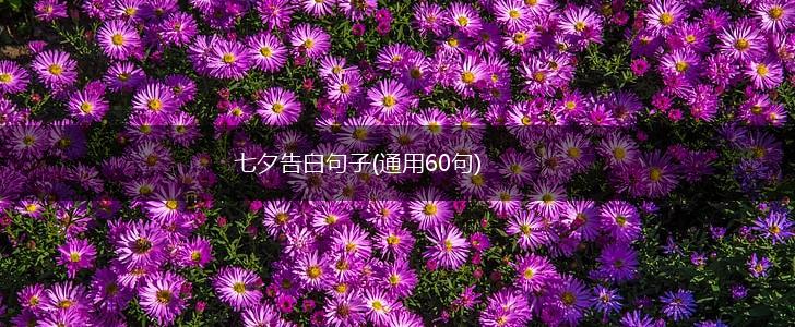 七夕告白句子(通用60句),第1张