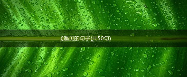 《遇见的句子(共50句),第1张