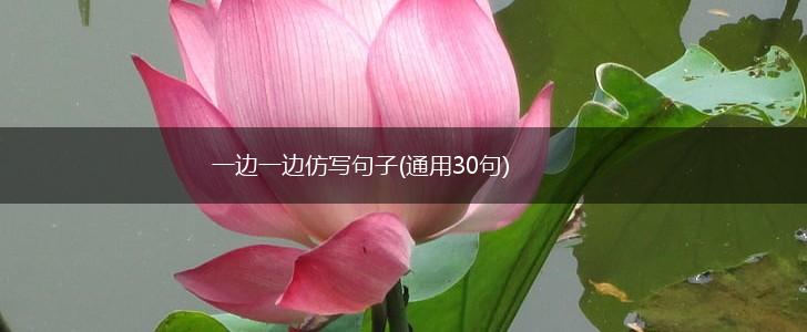 一边一边仿写句子(通用30句),第1张