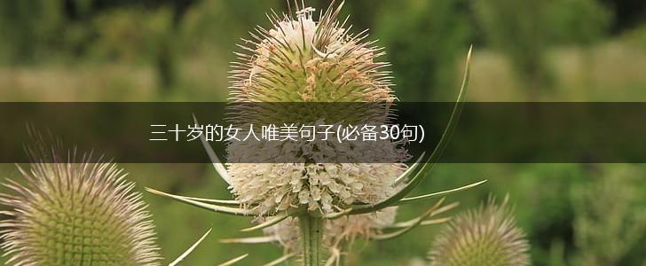 三十岁的女人唯美句子(必备30句),第1张