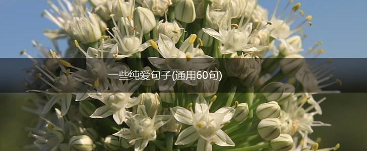 一些纯爱句子(通用60句),第1张