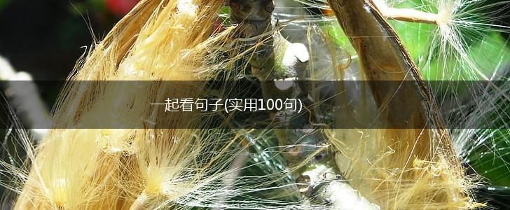 一起看句子(实用100句),第1张