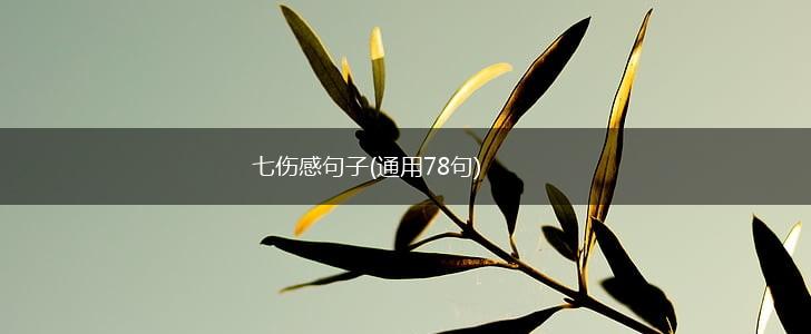 七伤感句子(通用78句),第1张