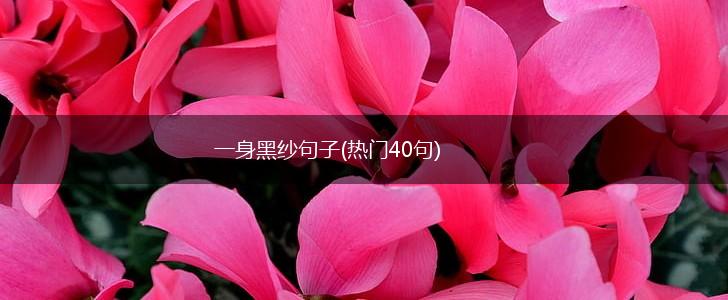 一身黑纱句子(热门40句),第1张