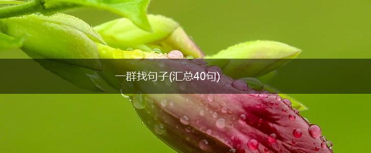 一群找句子(汇总40句),第1张